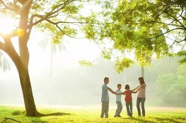 Phòng chống bệnh còn ống động mạch Phòng chống bệnh còn ống động mạch