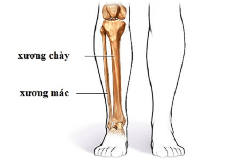 Dấu hiệu bị gãy xương Dấu hiệu bị gãy xương